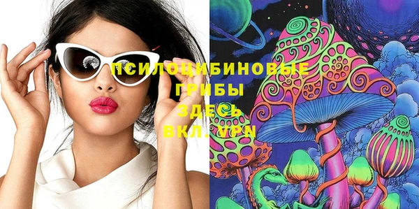 МДПВ Алексеевка