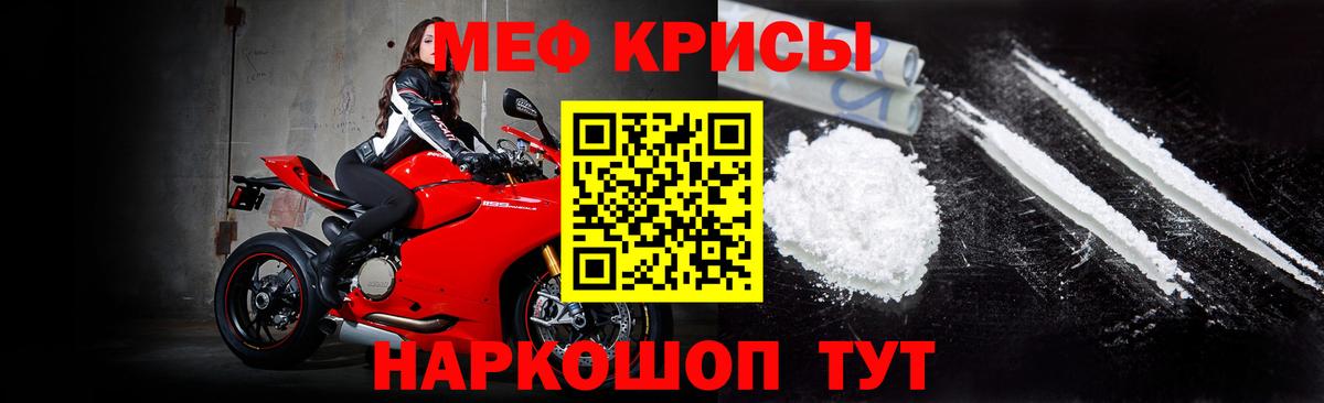 МЕФ  Камышлов