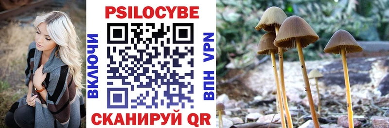 где купить наркоту Камышлов Галлюциногенные грибы Magic Shrooms