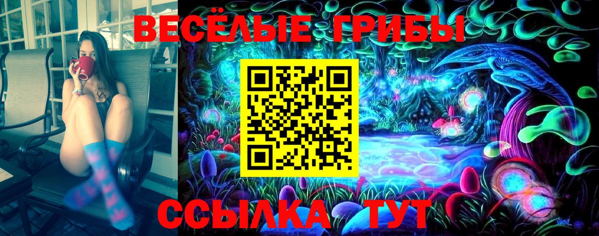Псилоцибиновые грибы Cubensis Камышлов