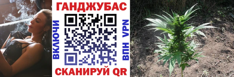 darknet клад  Камышлов  Бошки Шишки гибрид  блэк спрут зеркало 