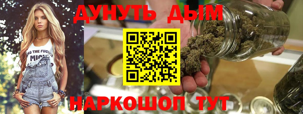 Каннабис сатива Камышлов